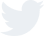 twitter icon